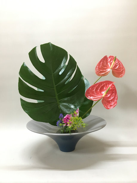 花道01-17“看花脸”图片下载