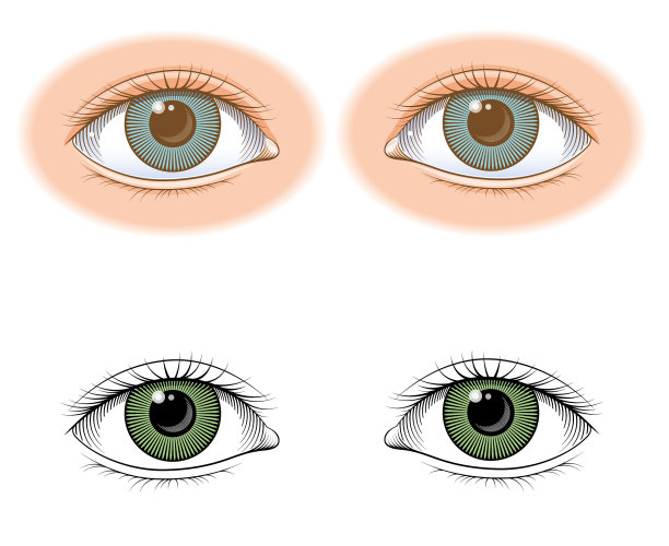 一双眼睛的插图图片下载