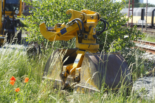 草坪上的挖掘机图片下载