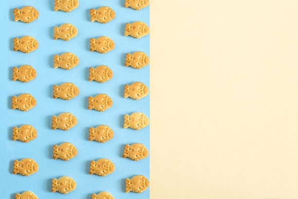 蓝色背景上的小鱼饼干图片下载