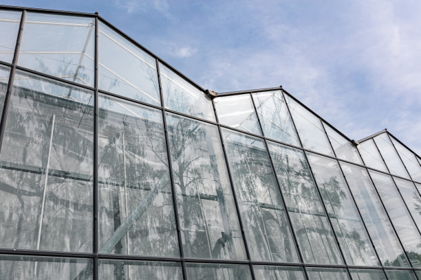 植物园温室。玻璃立面与树木的倒影图片下载