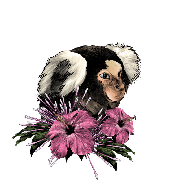 花环猴头侧面剪影与花叶图片下载