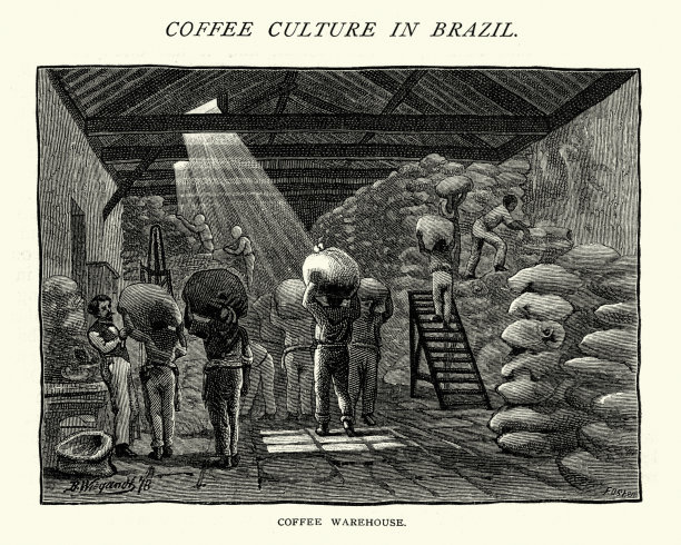 巴西南部的咖啡仓库，19世纪图片下载