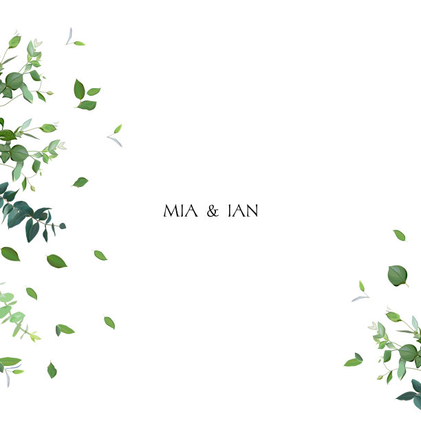 草药极简矢量框架。图片下载