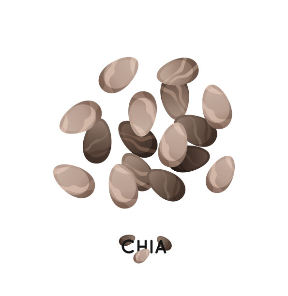 一把奇异子。农业文化奇亚种子图标。谷物chia插图图片下载