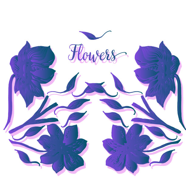 优雅可爱的插图。纺织及工业用印刷。还有一个美丽浪漫的花架。矢量插图。复古贺卡与盛开的鲜花。感谢你的文本。野花图片下载