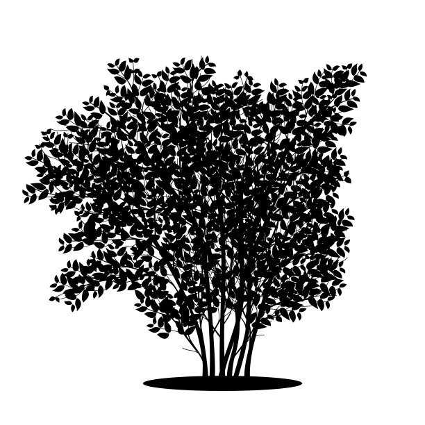 剪影灌木与树叶和阴影图片下载