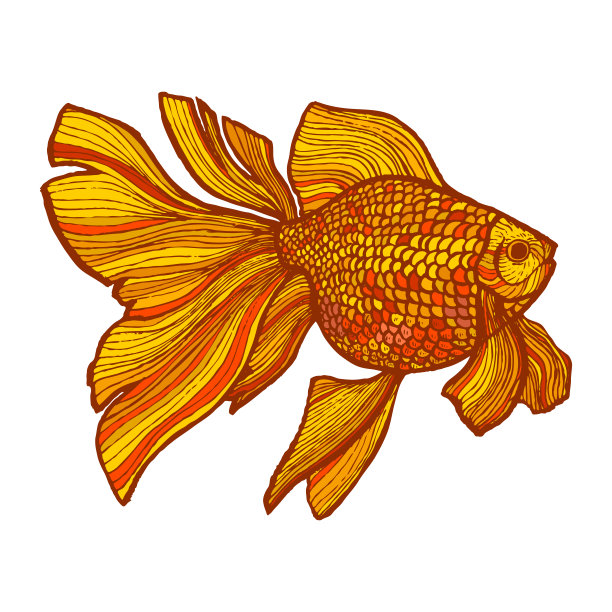 彩色金鱼手绘风格图片下载