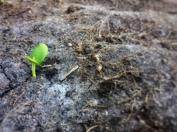 自然层图片下载