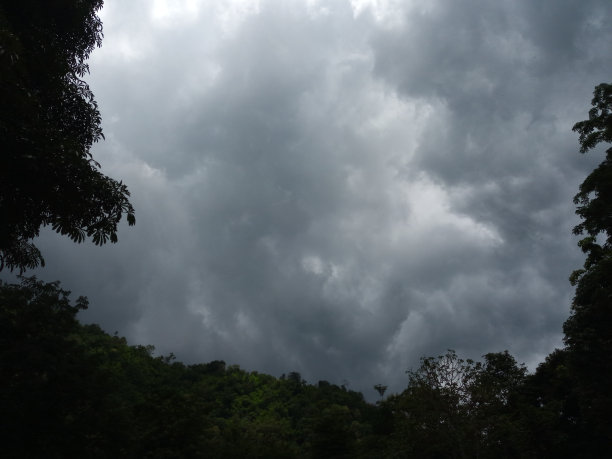 乌云笼罩着高山和森林图片下载