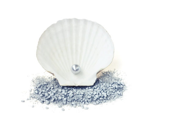 装饰沙上带珍珠的贝壳图片下载