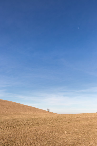 远处，一棵孤零零的树，在一个光秃秃的小山上，在蓝天和白云下图片下载