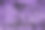 旧的，破旧的，带洞的旧木头上的超紫色纹理图片下载