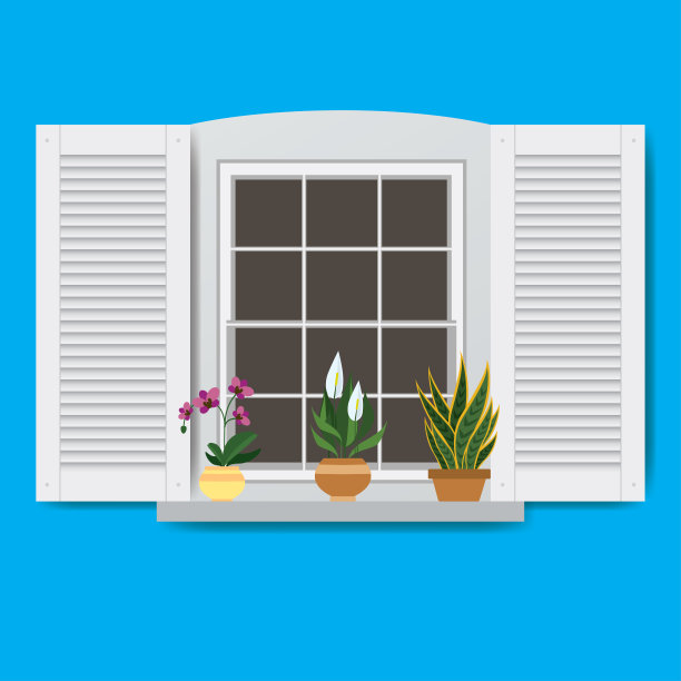 花盆里有花的窗户图片下载