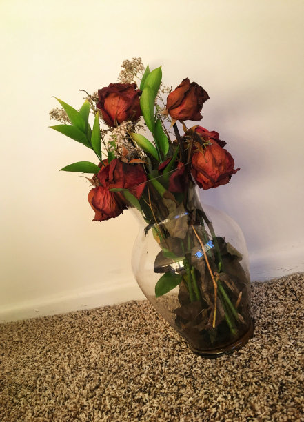 花瓶和玫瑰图片下载