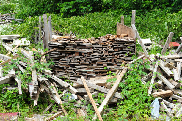 废弃的木质废弃物图片下载