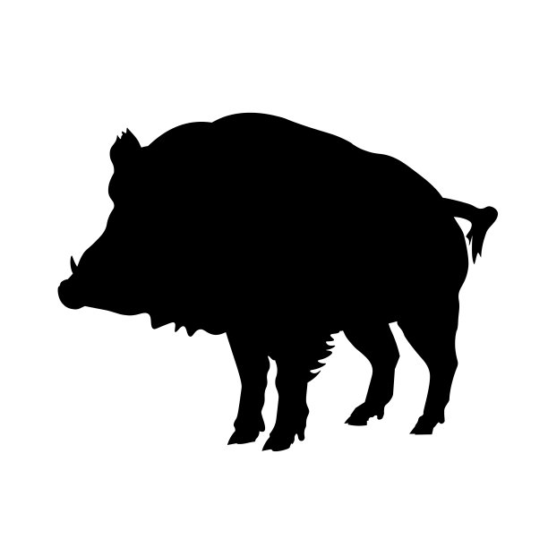 矢量剪影的野猪图片下载