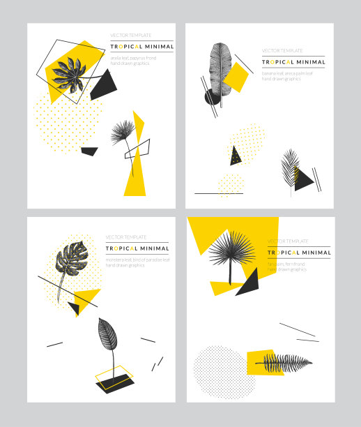 现代几何卡片收集与手工绘制的热带植物在复古风格。一套外来植物模板为生日，商业，周年纪念，婚礼，聚会邀请，假日。图片下载