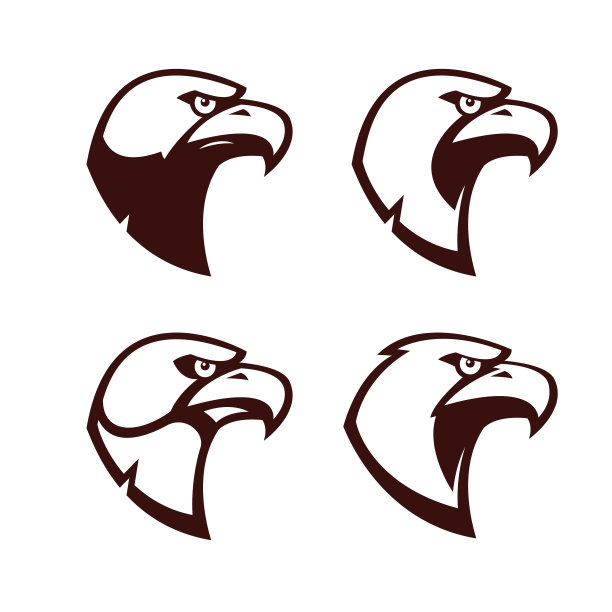 可爱的鸟图片下载