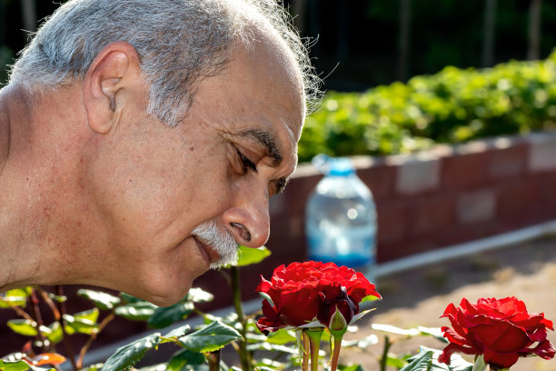 大自然中的长者图片下载