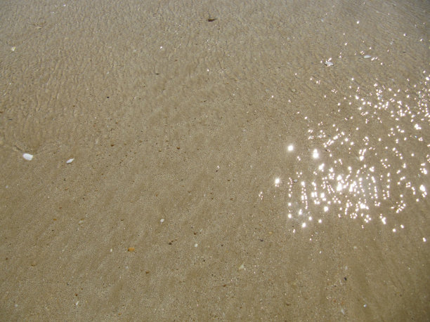 海水打在湿沙上图片下载