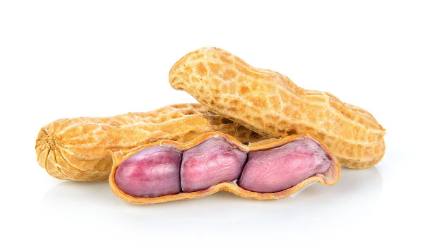 花生在白色背景的特写图片下载