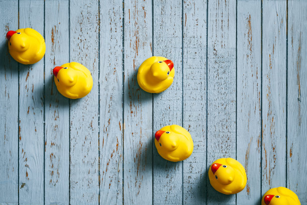 蓝色木板上的橡皮鸭-背景个性的想法图片下载