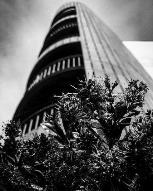 花前的角度来看图片下载