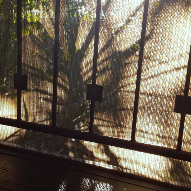 清晨的阴影。图片下载