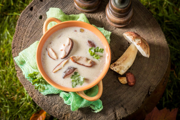 美味的自制牛肝菌奶油图片下载