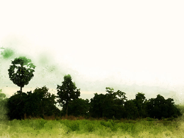 美丽的树景观和田野水彩插画背景。图片下载