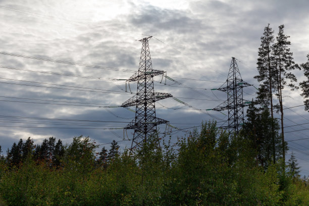 高压线在森林里，背景是多云的天空图片下载