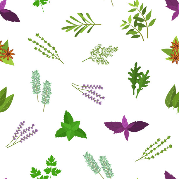 卡通色彩香草香料无缝图案背景。向量图片下载
