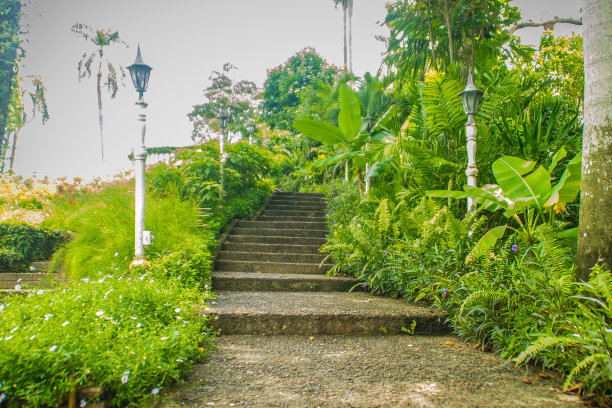 绿意盎然的夏日公园，在阴天踏着台阶走向蓝天。阳光明媚的公园，楼梯和新鲜的树木。图片下载