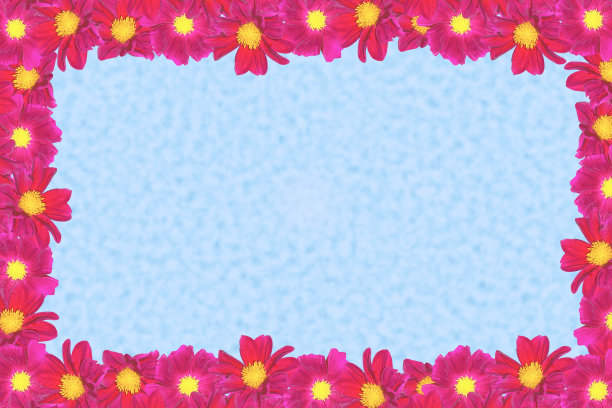 鲜艳多彩的大丽花。图片下载