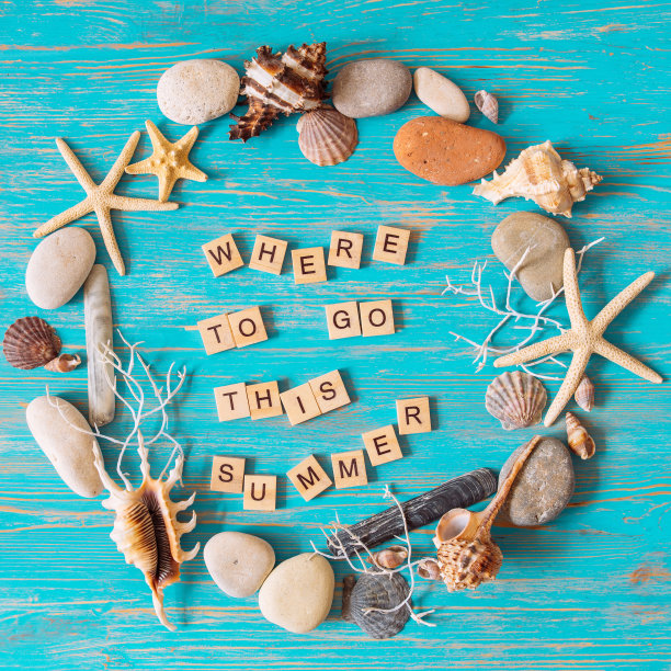 今年夏天去哪里?文字在圆圈的贝壳在蓝色木制背景。顶视图。图片下载