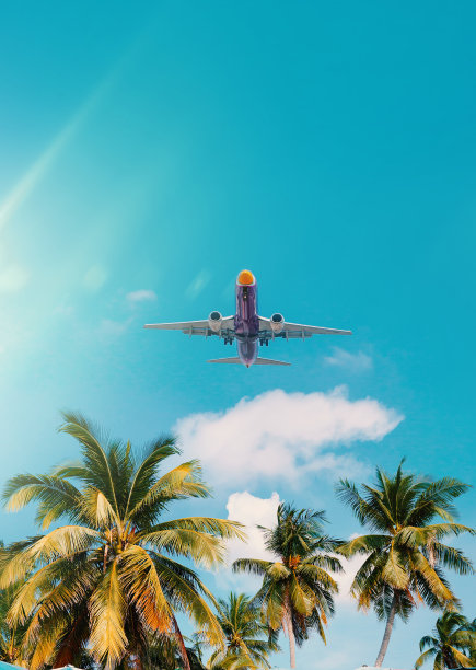 热带暑假的到来图片下载