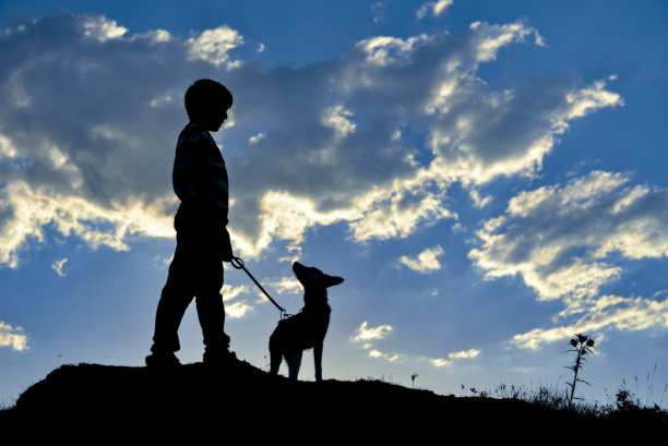 和一只小狗在大自然中嬉戏图片下载