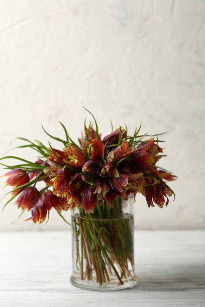 春天鲜花图片下载