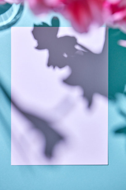 白色的纸上的蓝色背景和阴影的花图片下载