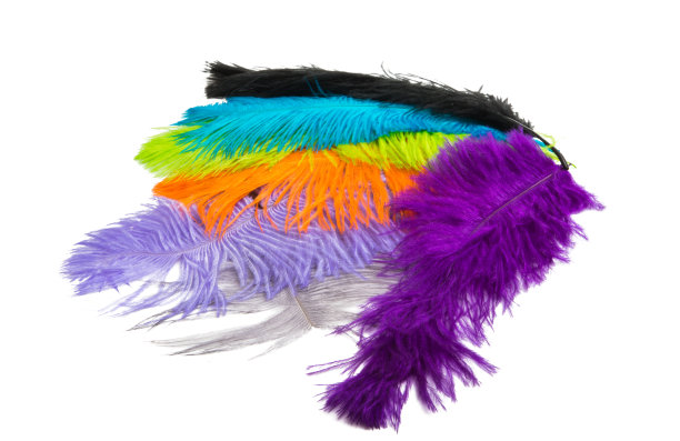 鸵鸟色笔孤立图片下载