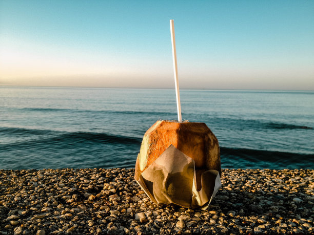椰子树图片下载