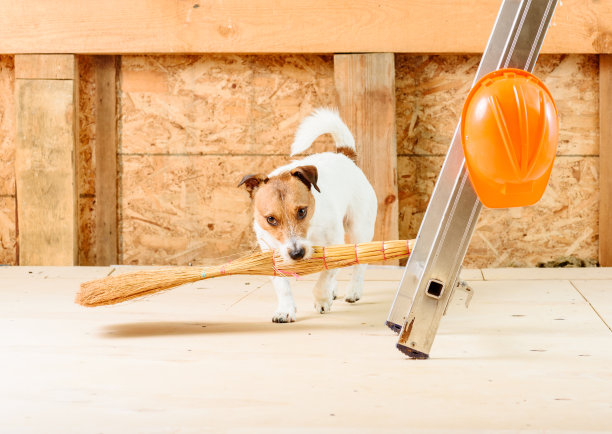 滑稽的管家在工地用扫帚打扫图片下载