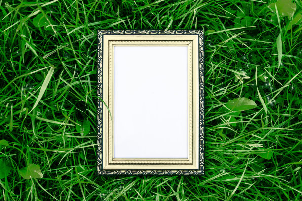 金色木框，绿草如茵，奢华自然的理念图片下载