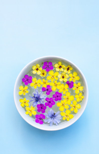 一盆鲜花图片下载