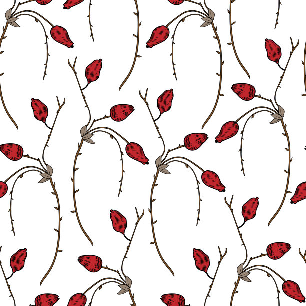 无缝花卉图案，Barberry手绘树枝矢量素描孤立在白色背景，线艺术红浆果，天然香料，烹饪配料设计包装茶叶，化妆品，纺织品图片下载