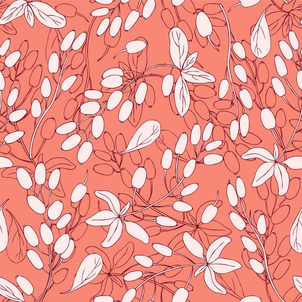 无缝图案，Barberry手画树枝矢量孤立在红色背景，浆果线艺术，装饰水果纹理，天然香料，烹饪配料设计包装茶叶，化妆品图片下载