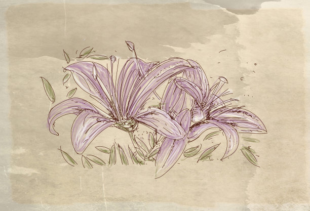 现实的花与复古的背景，花框架图片下载