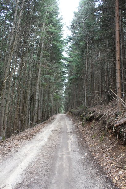 12 - 1996。图片下载