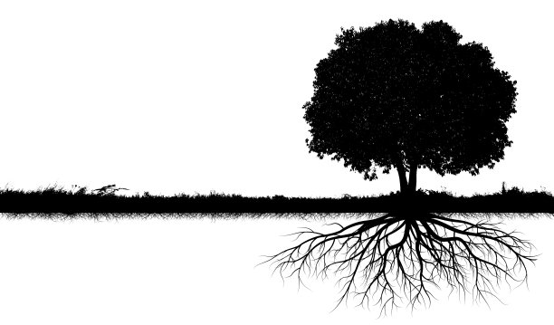 大树的轮廓图片下载